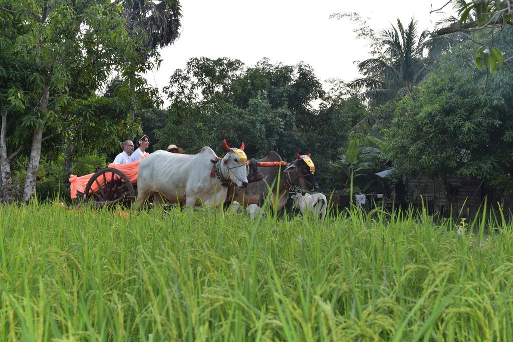 Angkor Rural Boutique Resort Siem Reap Zewnętrze zdjęcie