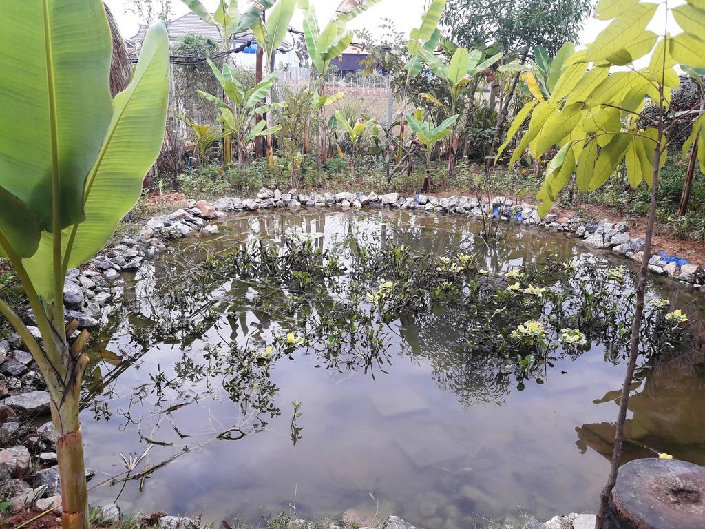 Angkor Rural Boutique Resort Siem Reap Zewnętrze zdjęcie