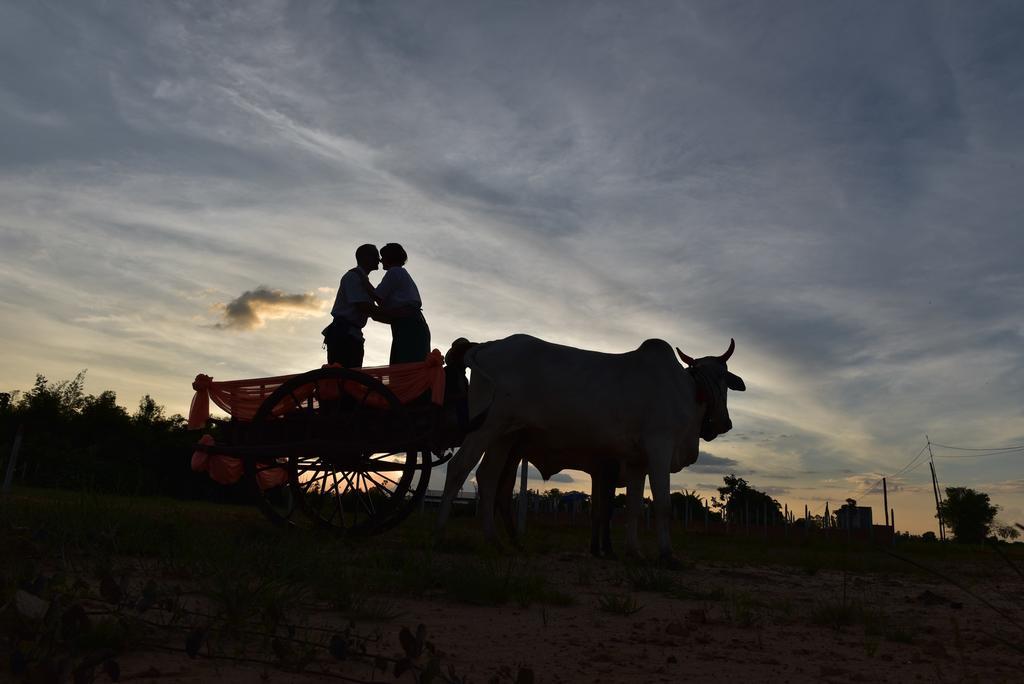 Angkor Rural Boutique Resort Siem Reap Zewnętrze zdjęcie