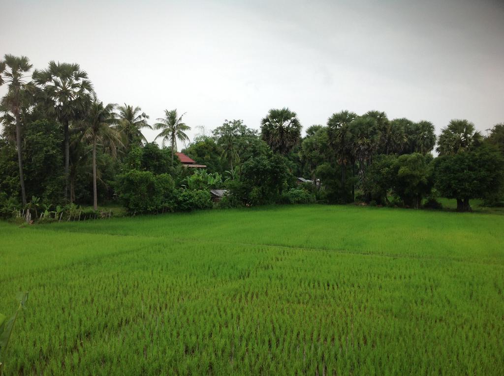 Angkor Rural Boutique Resort Siem Reap Zewnętrze zdjęcie