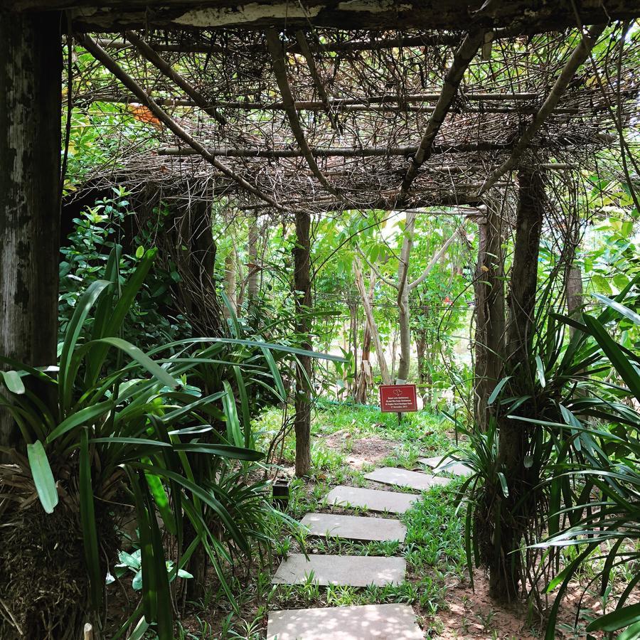 Angkor Rural Boutique Resort Siem Reap Zewnętrze zdjęcie