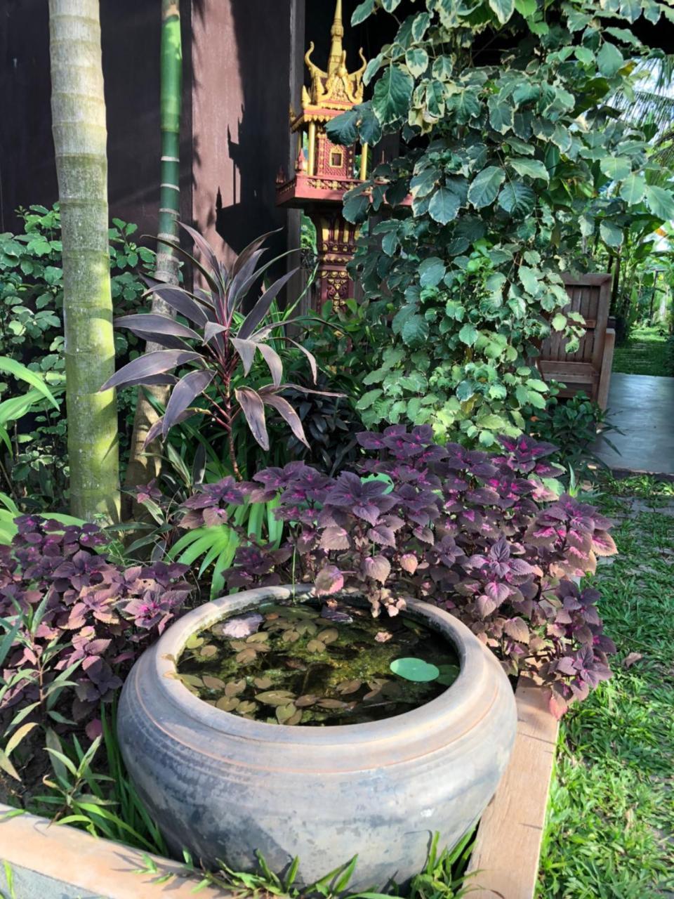 Angkor Rural Boutique Resort Siem Reap Zewnętrze zdjęcie